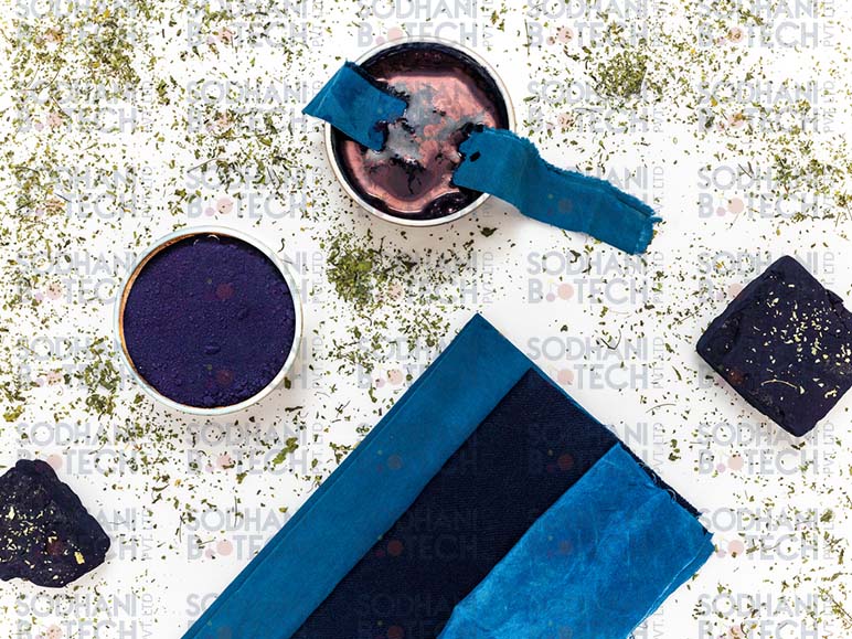 Natural Indigo Extract for Textile Dyeing | Sodhani Biotech